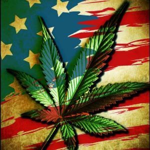 Meet your Posher, Evan